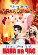 читать Новогоднее чудо - Папа на час