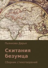 читать Скитания безумца. Сборник стихотворений