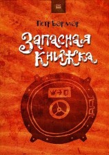 читать Запасная книжка