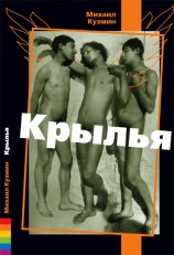 читать Крылья