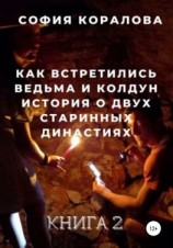 читать Как встретились ведьма и колдун. Книга 2