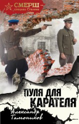 читать Пуля для карателя