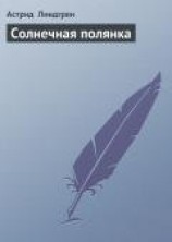 читать Солнечная полянка