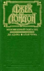 читать Межзвездный скиталец