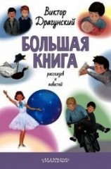 читать Большая книга рассказов и повестей