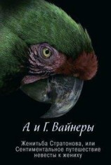 читать Женитьба Стратонова, или Сентиментальное путешествие невесты к жениху (сборник)