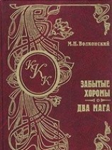 читать Забытые хоромы