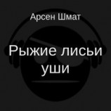 читать Рыжие лисьи уши