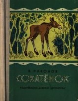 читать Сохатёнок<br />(Повесть)