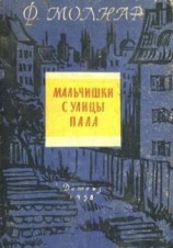 читать Мальчишки с улицы Пала