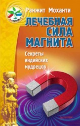 читать Лечебная сила магнита. Секреты индийских мудрецов