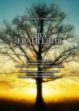 читать Два Евангелия. Современные и вечные проблемы христианства, отношений человека и Бога