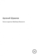 читать Записки задротика: Фреймворк Всевластия