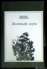 читать Лесная капель