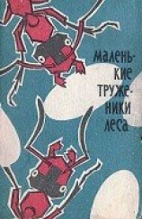 читать Маленькие труженики леса