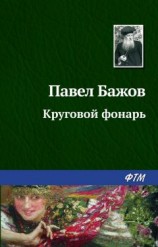 читать Круговой фонарь