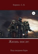 читать Под сводами бури