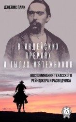 читать В индейских прериях и тылах мятежников. (Воспоминания техасского рейнджера и разведчика)