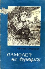 читать Самолет не вернулся