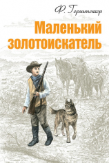 читать Маленький золотоискатель