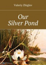 читать Our Silver Pond