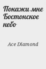 читать Покажи мне бостонское небо