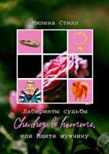 читать Лабиринты судьбы. Cherchez lе homme, или Ищите мужчину