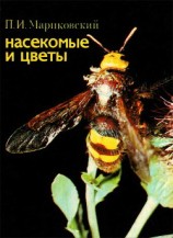 читать Насекомые и цветы