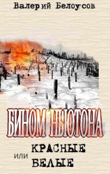 читать Бином Ньютона, или Красные и Белые. Ленинградская сага