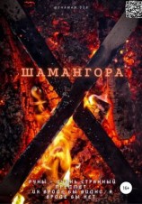 читать Шамангора. Книга рун