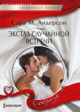 читать Экстаз случайной встречи