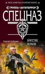 читать Братство волков