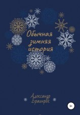 читать Обычная зимняя история