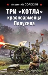 читать Три «котла» красноармейца Полухина