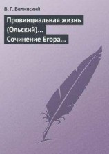 читать Провинциальная жизнь (Ольский)… Сочинение Егора Классена