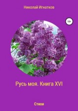 читать Русь моя. Книга 16