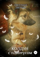 читать Колдун с плинтусом