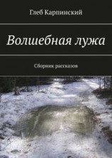 читать Волшебная лужа. Сборник рассказов