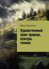 читать Художественный транс: природа, культура, техника