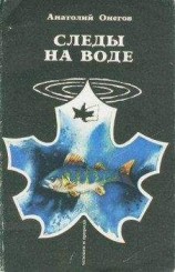 читать Вода, настоянная на чернике