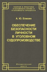 читать Обеспечение безопасности личности в уголовном судопроизводстве