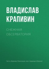 читать Снежная обсерватория