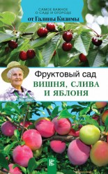 читать Фруктовый сад. Вишня, слива и яблоня