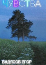 читать Чувства. Все чувства когда-то заканчиваются, но я верю что есть продолжение