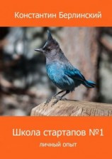 читать Школа стартапов 1: Личный опыт. 2-ое издание с иллюстрациями