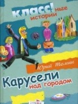 читать Карусели над городом
