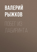 читать Побег из Лабиринта