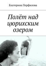 читать Полёт над цюрихским озером