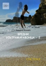 читать Бредни ультрамарафонца  2. Система