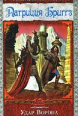 читать Удар Ворона